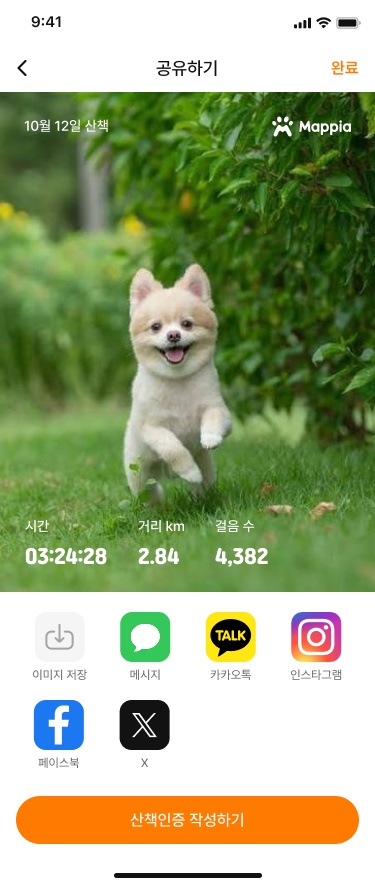 공유