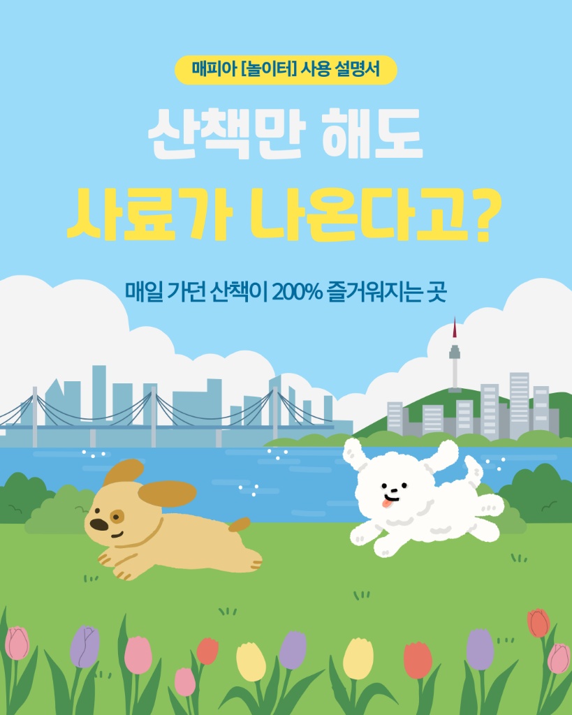 산책만 해도 사료가 나온다고?